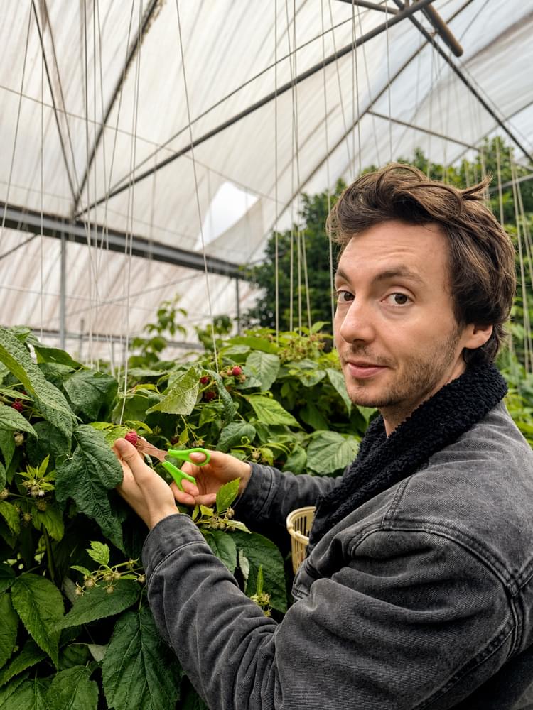 Thibault Jan Beyer cultivating Raspberry in Chiang Mai, Thailand